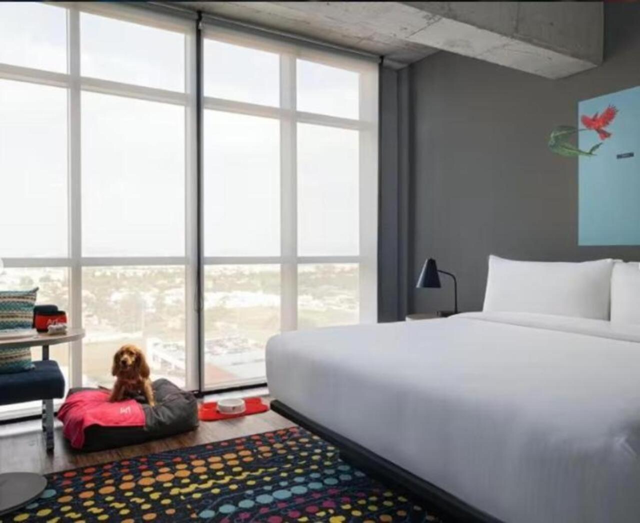 Aloft Guadalajara Sur Hotell Santa Anita  Exteriör bild